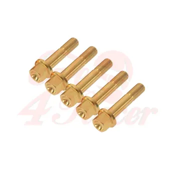 cafe 4 racer - Wheel bolts set BMW K75 / K100 - gold rear - Cafe4Racer Bolts set 