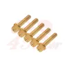 cafe 4 racer - Wheel bolts set BMW K75 / K100 - gold rear - Cafe4Racer Bolts set 