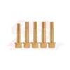 cafe 4 racer - Wheel bolts set BMW K75 / K100 - gold rear - Cafe4Racer Bolts set 