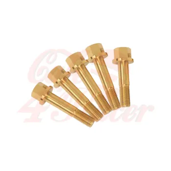 cafe 4 racer - Wheel bolts set BMW K75 / K100 - gold rear - Cafe4Racer Bolts set 