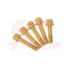 cafe 4 racer - Wheel bolts set BMW K75 / K100 - gold rear - Cafe4Racer Bolts set 