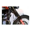 cafe 4 racer - Shorty – Predný blatník/blatník – lúčové kolesá – leštený hliník - Motone Triumph Bonneville 