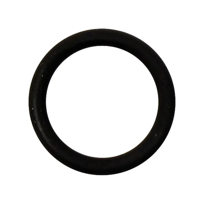 Fuel Tool, lower o-rings (1)