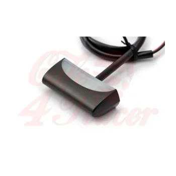 cafe 4 racer - DAYTONA LED license plate light, black, E-marked - Daytona License plate lights 4054783391608