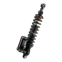 BMW R-series Monolever Schizzo build