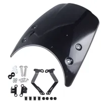 Headlight Fairing - Windshield